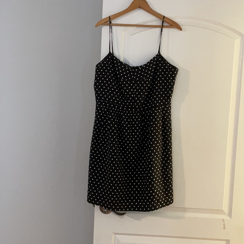 Black and White Polka Dot J Crew Dress